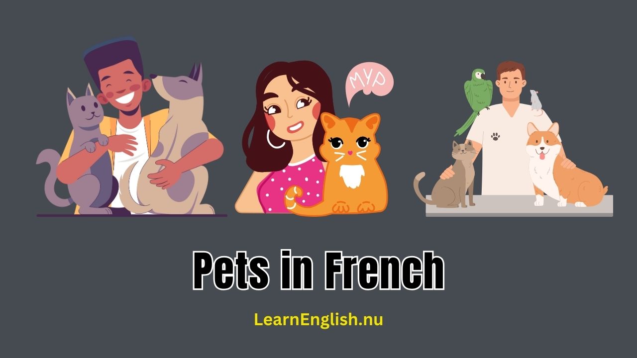 Pets in French