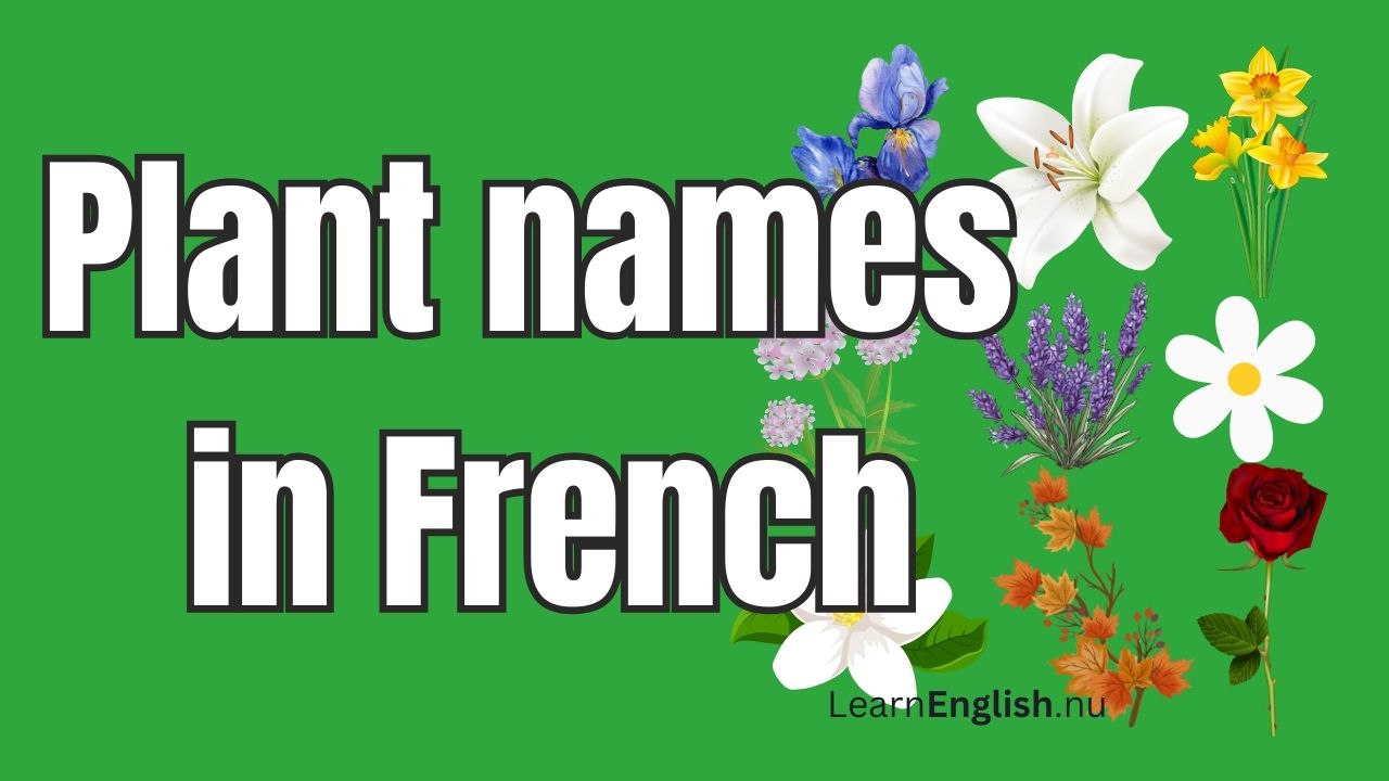 Unique plant names in French