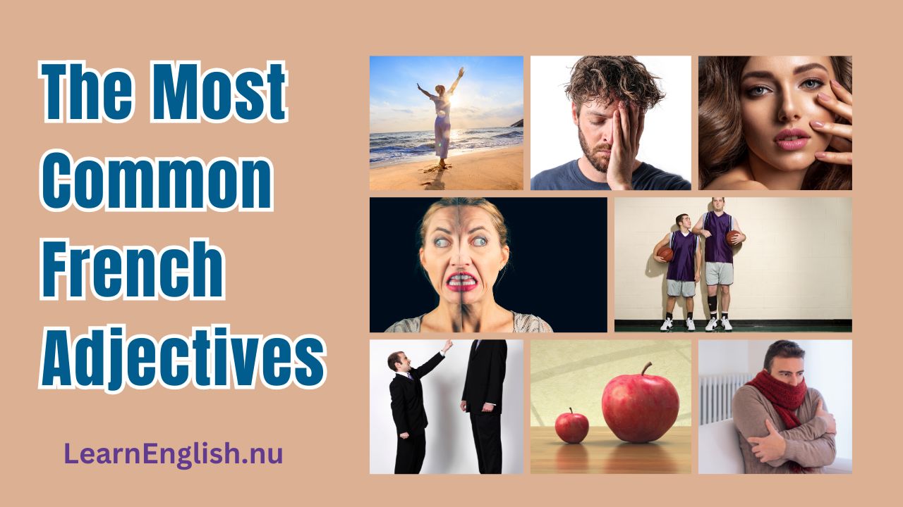 The Most Common French Adjectives