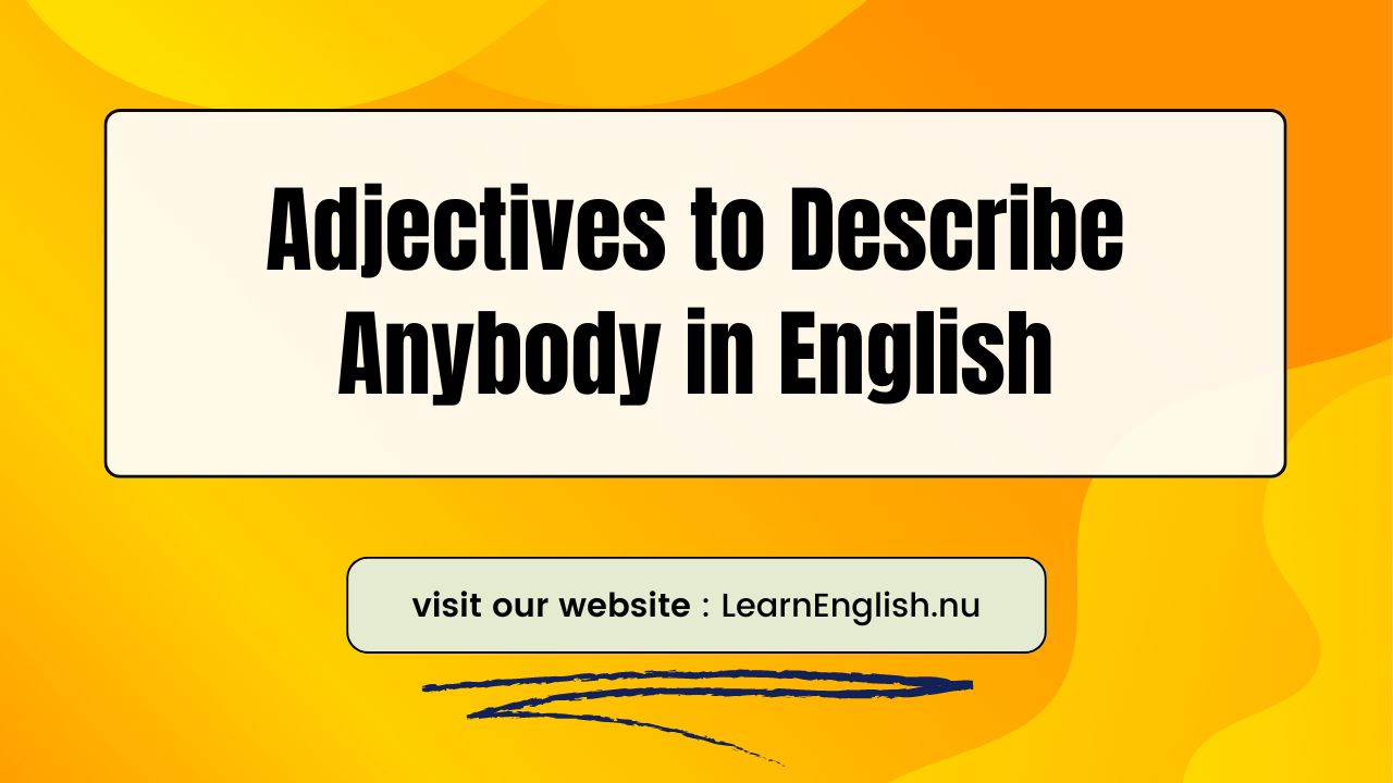 Adjectives to Describe Anybody in English