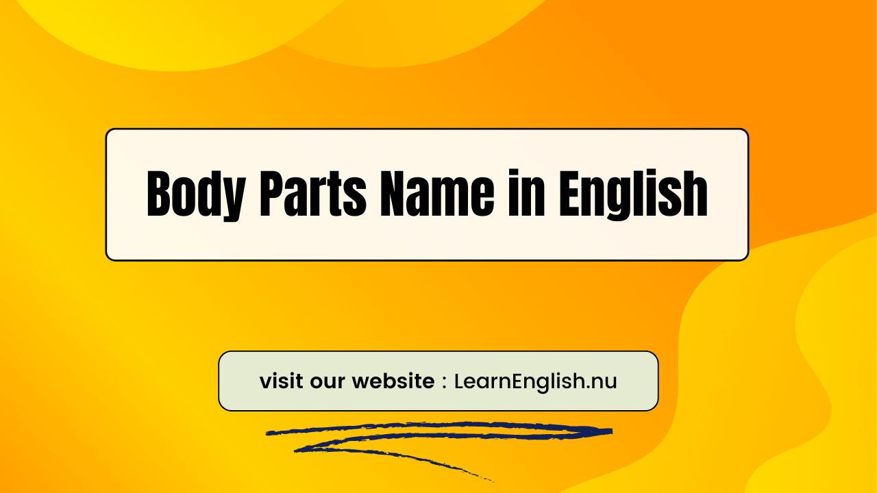 50 body parts name in English