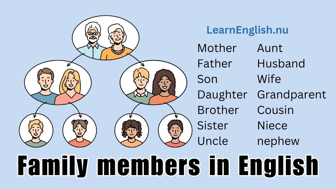 Family members in English