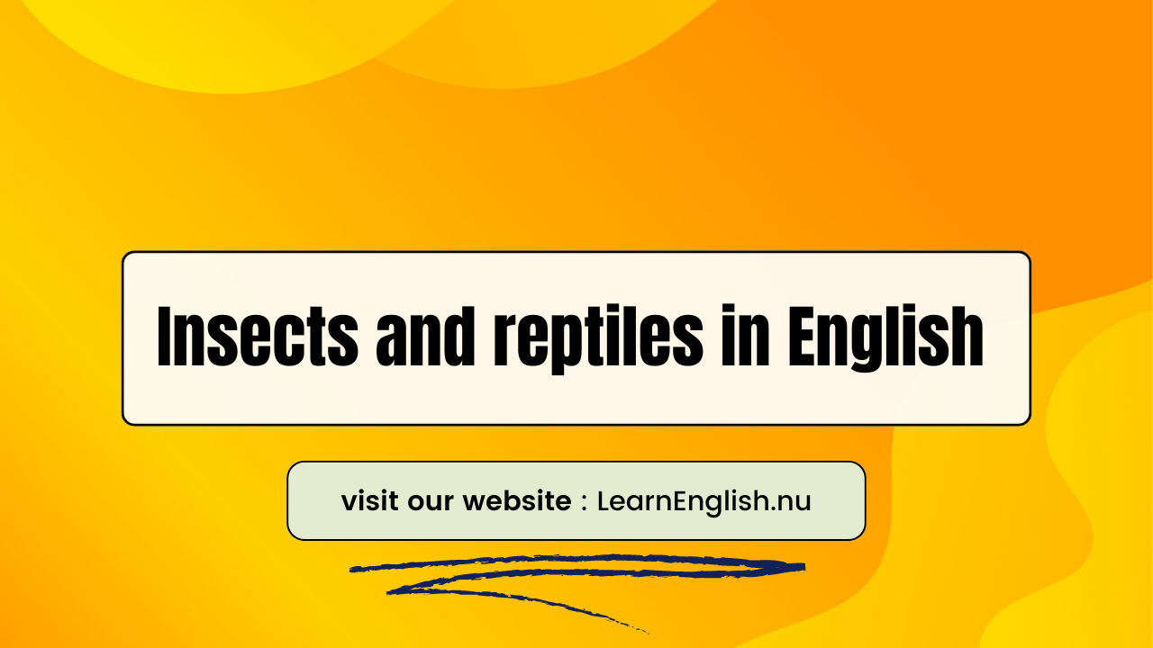 Insects and reptiles in English