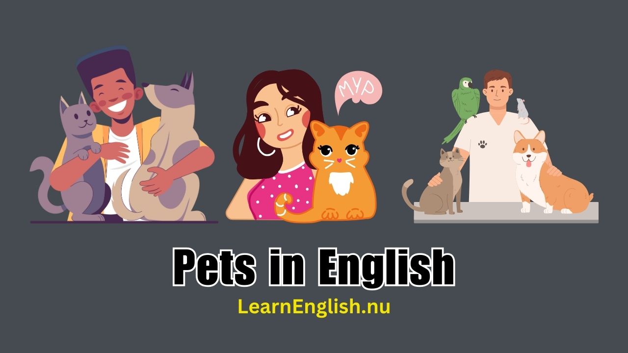 Pet animals in English with pictures and sounds