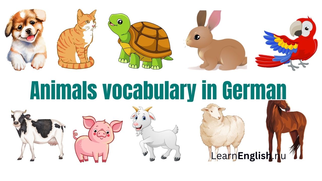 German Animal Names - animals name in German with pictures