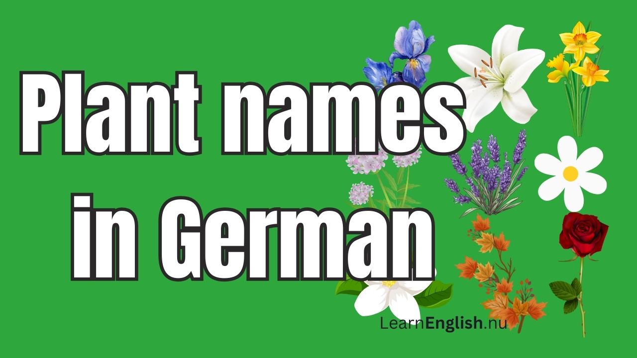 Plant Names in German - German Plant & Tree Vocabulary