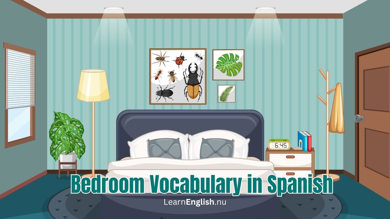 bedroom-vocabulary-in-spanish-bedroom-items-in-spanish-learn-spanish