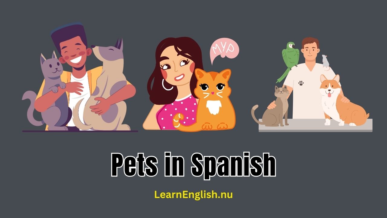 Pets in Spanish: Animal Names You Need To Learn