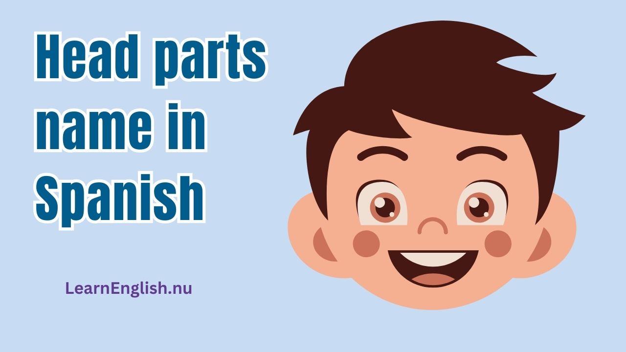 Parts of the face in Spanish and English