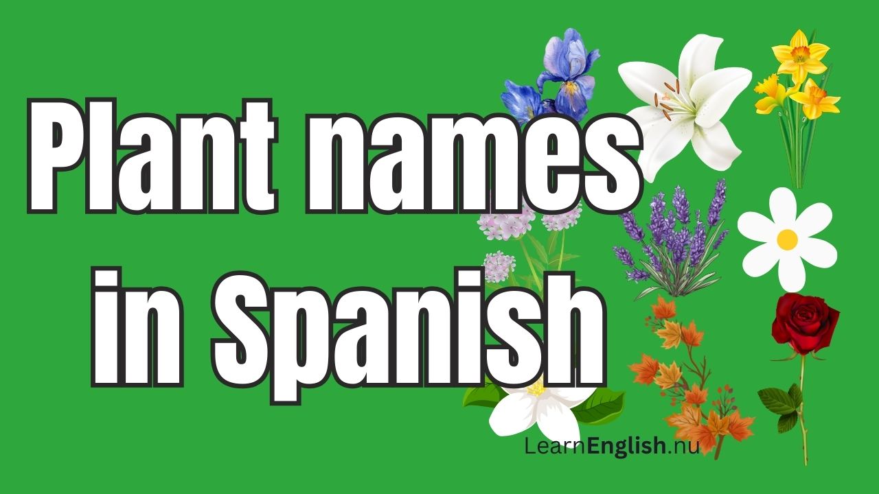 Plant Names In Spanish: A Beginner's Guide