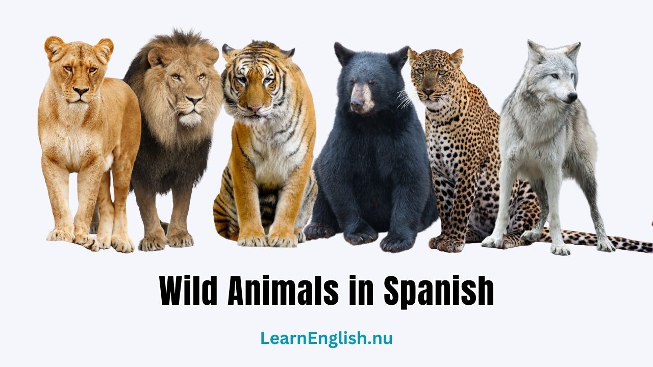 Wild Animals in Spanish: 46 Animal Names You Should Know