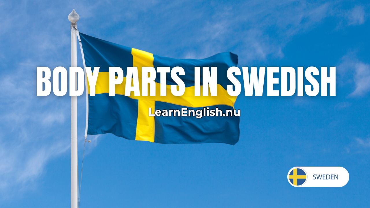 Swedish Parts of the Body Vocabulary