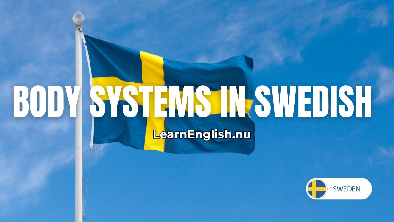Full body systems in Swedish: Parts Of The Body In Swedish