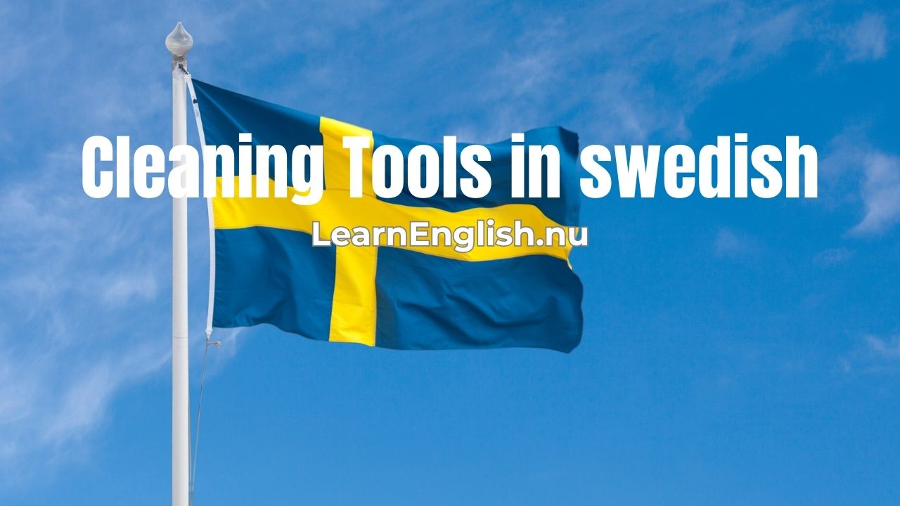 Swedish Lessons: Swedish cleaning tools Vocabulary Words