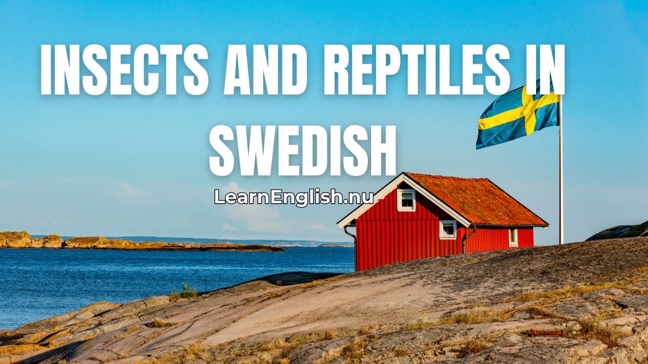 Swedish Lessons: Insects and Reptiles in Swedish pictures & audio