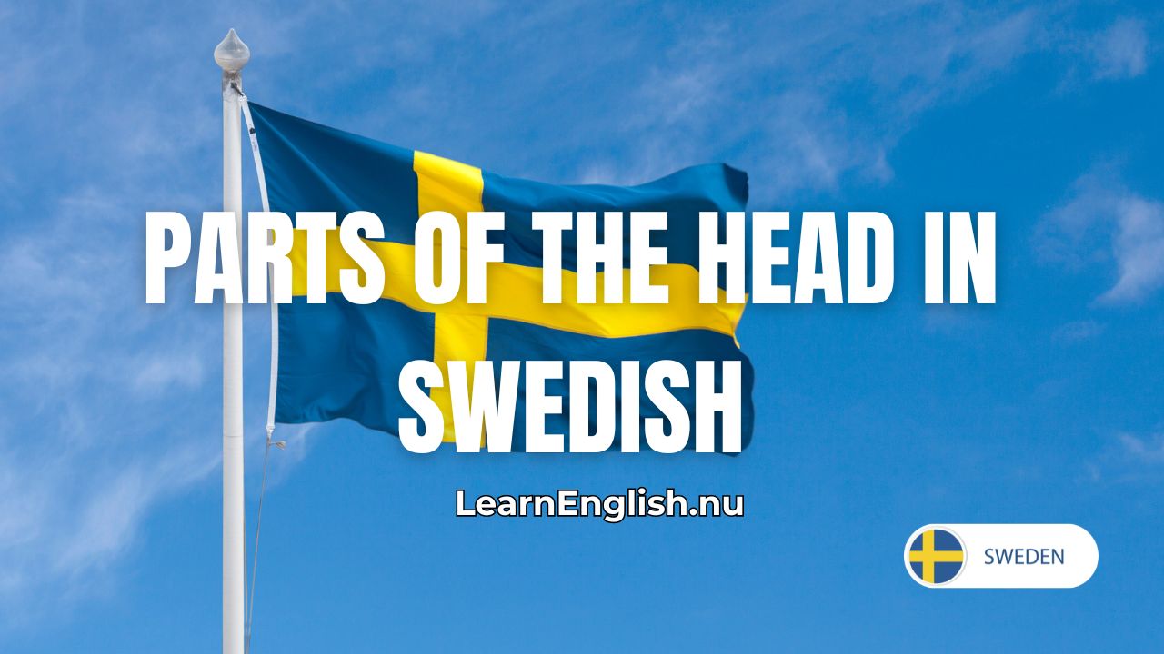 Parts of the Head in Swedish: Learn Swedish