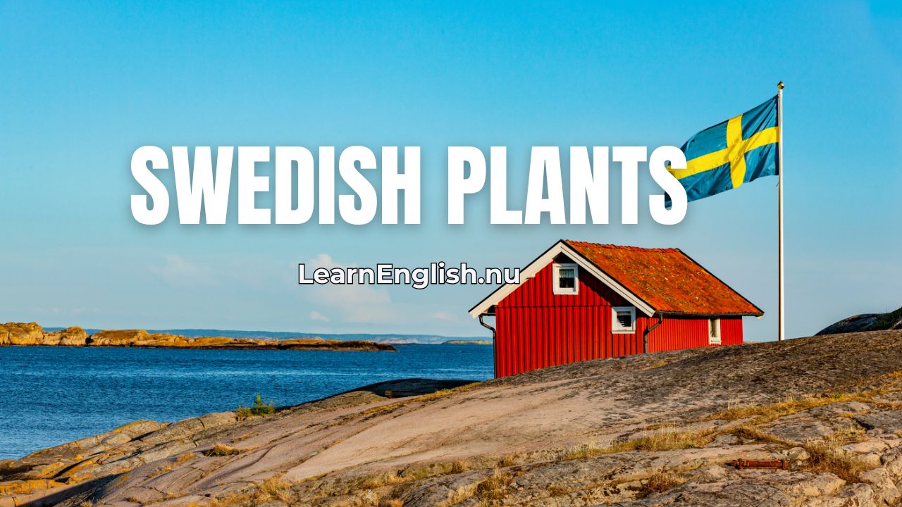 Swedish Lessons: Plant names , flowers names in Swedish